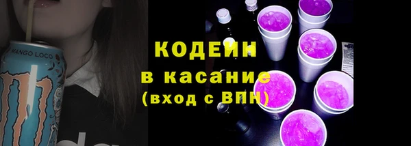 шишки Бородино