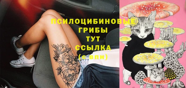 ГАЛЛЮЦИНОГЕННЫЕ ГРИБЫ Бугульма